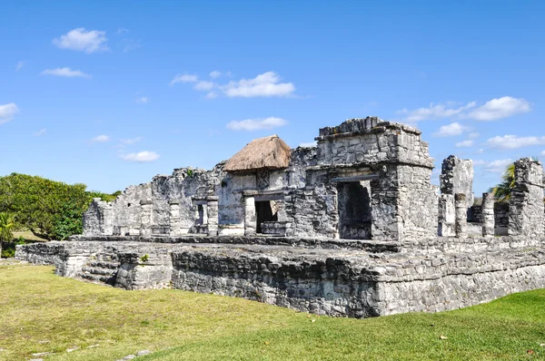 Руины тулума майя в Мексике — стоковое фото