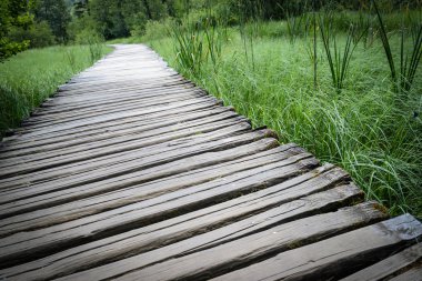 ahşap tahta hiking trail
