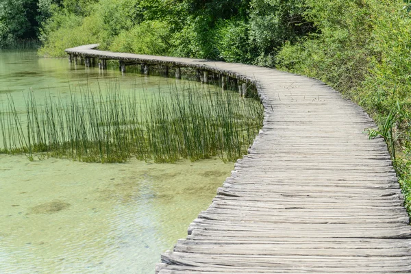 Houten pad in het bos — Stockfoto