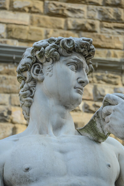 The statue of David by Michelangelo on the Piazza della Signoria