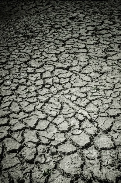 Textura del suelo agrietada — Foto de Stock