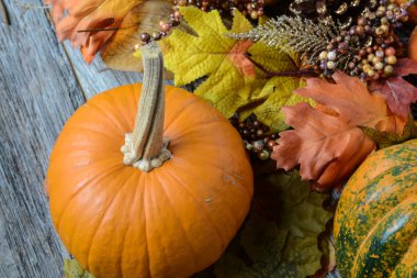 kabak ve sonbahar yaprakları