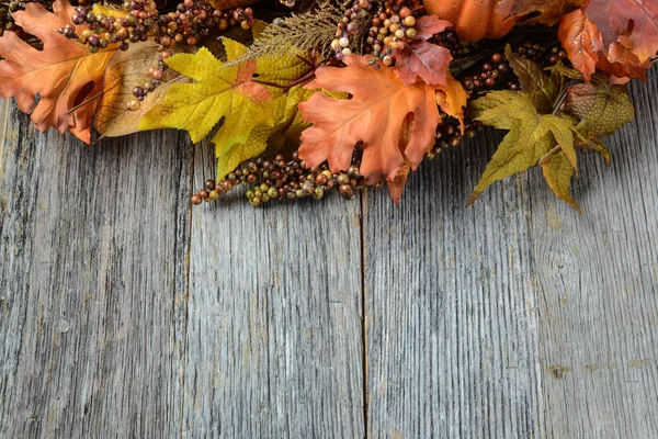 Folhas de outono e bagas para o dia de Ação de Graças — Fotografia de Stock