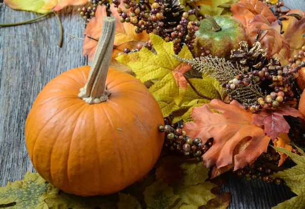 Herfst bladeren en bessen voor Thanksgiving day — Stockfoto