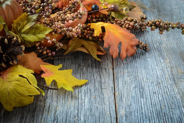 秋天的落叶和浆果的感恩节 — 图库照片