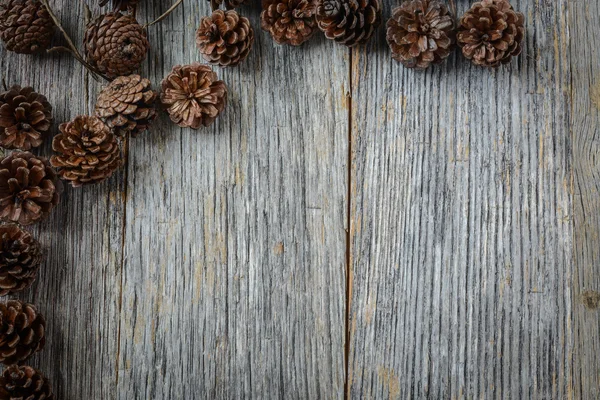 Pine Cones texture — Stock Photo, Image