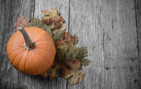 Calabaza y hojas de otoño —  Fotos de Stock