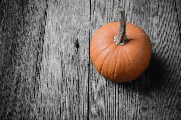 Calabaza sobre fondo de madera rústica — Foto de Stock