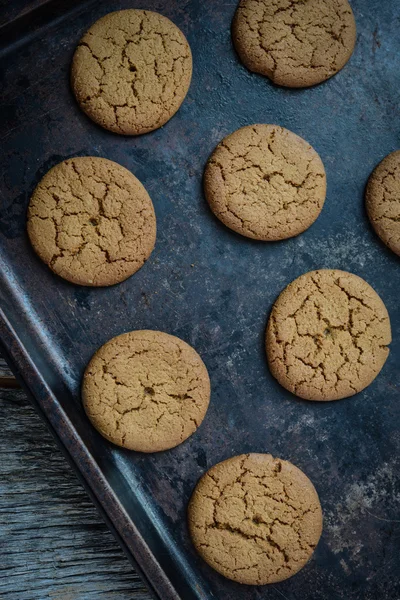 Biscuits Gingersnap pour Noël — Photo