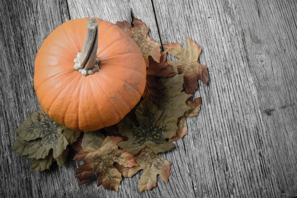 Calabaza y hojas de otoño —  Fotos de Stock
