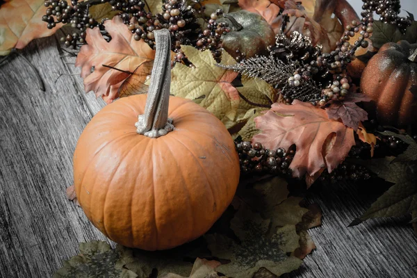 Pumpkin and Fall Leaves — Stock Photo, Image
