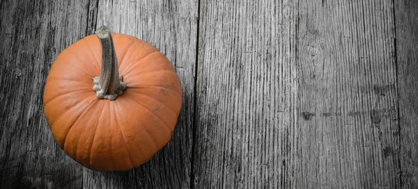 Calabaza sobre fondo de madera rústica — Foto de Stock