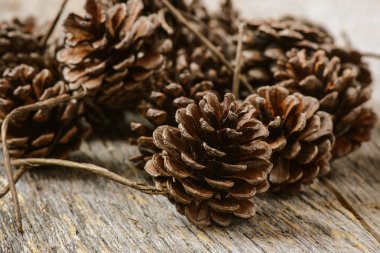 Pinecones rustik ahşap zemin üzerine