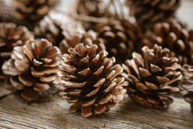 Pinecones rustik ahşap zemin üzerine