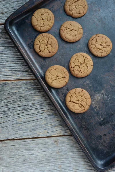 Gingersnap kakor till jul — Stockfoto