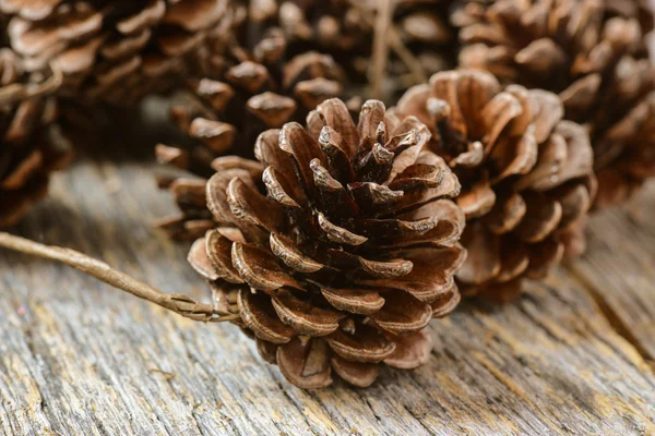 Pinecones on Rustic Wood Background Stock Image