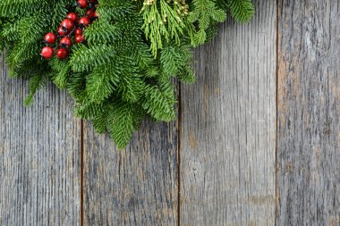 Ağaç dalı Holly Berry ile