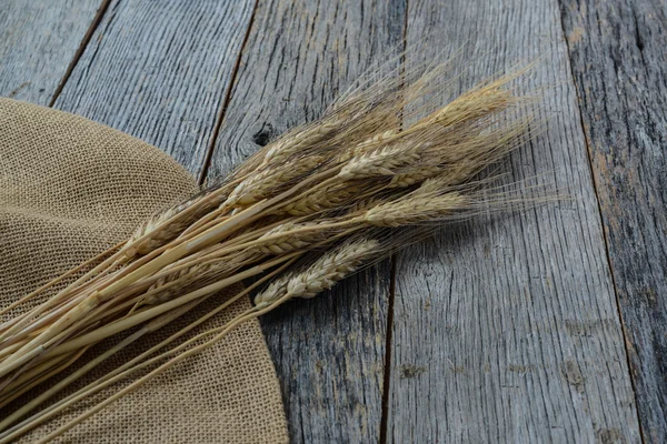 Buğday kulaklar — Stok fotoğraf