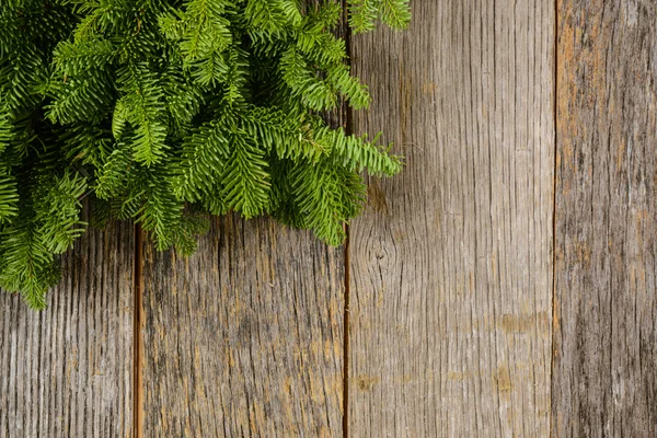 Ramo d'albero su sfondo rustico in legno — Foto Stock