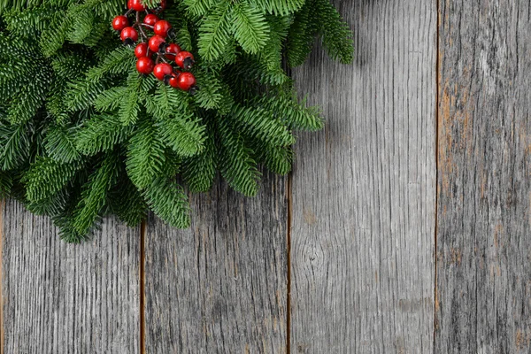 Tree branch with Holly Berry — Stock Photo, Image