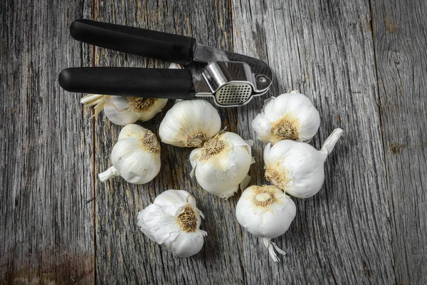 Чесночные луковицы с чесночным прессом — стоковое фото