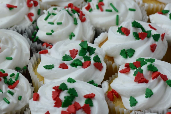 Chocolate and Vanilla Christmas Cupcakes — Stock Photo, Image