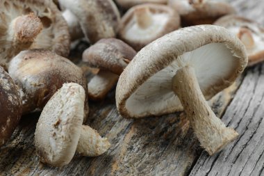 Ahşap arka plan üzerinde Shitake Mantarlar