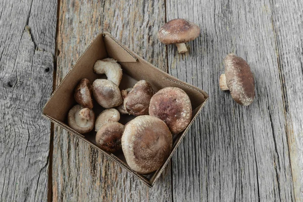 Shitake Mushrooms on Wood Background — Stock Photo, Image