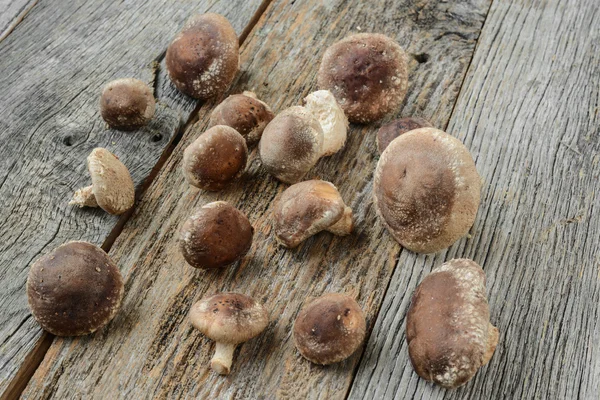 Shitake Mushrooms on Wood Background — Stock Photo, Image