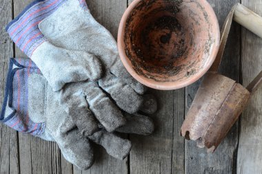 Çiçek dikimi için Araçlar