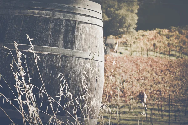 外のワイン樽 — ストック写真