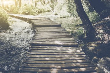 Güneş ışığı ile Hiking Trail