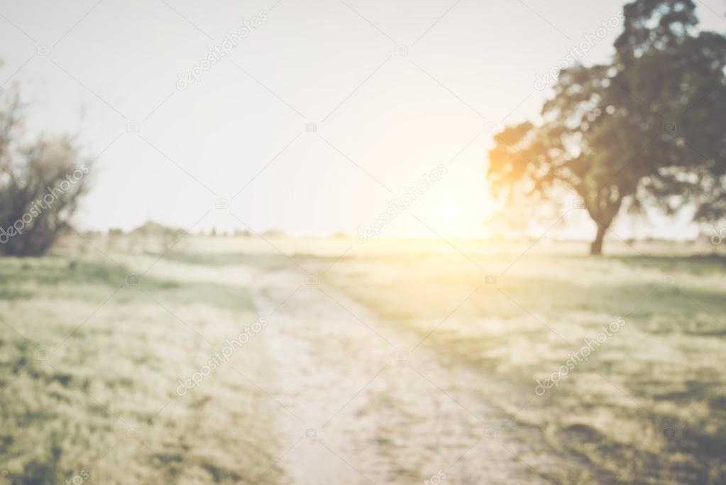 Blurred Nature Background