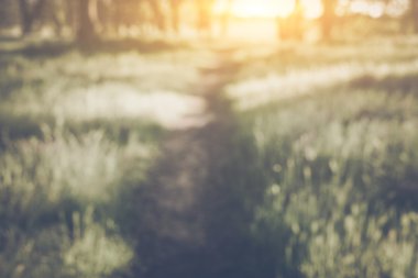 bulanık doğa arka plan