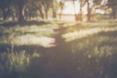 bulanık doğa arka plan