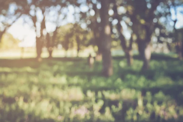 Fondo de la naturaleza borrosa — Foto de Stock