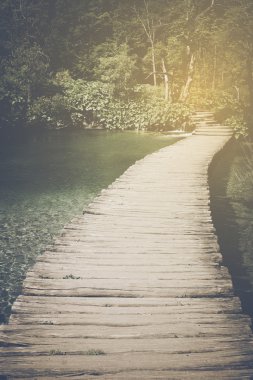 Güneş ışığı ile Hiking Trail