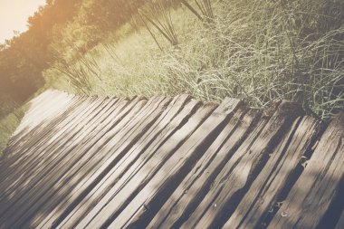 Orman içinde ahşap iz