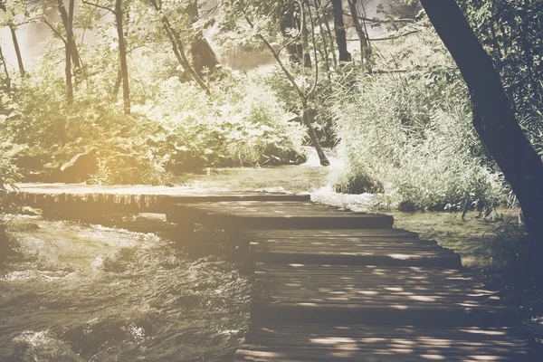 Chemin de randonnée avec lumière du soleil — Photo