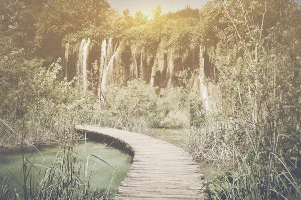 Hiking Path with Sunlight — Stock Photo, Image