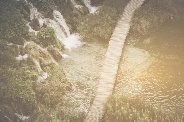Hiking Path with Sunlight — Stock Photo, Image