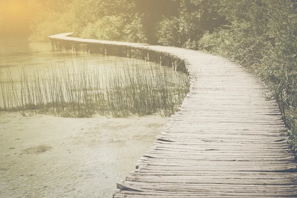 Sentiero in legno nella foresta — Foto Stock