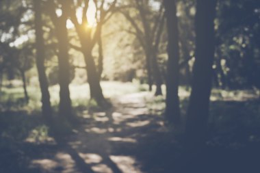 bulanık doğa arka plan