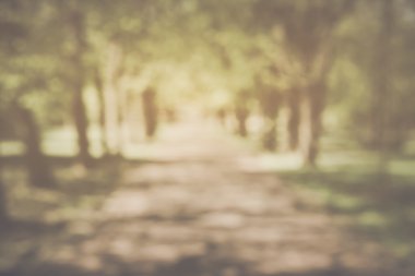 bulanık doğa arka plan