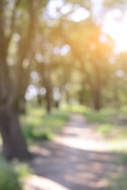 bulanık doğa arka plan