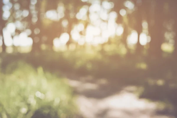 Suddig natur bakgrund — Stockfoto