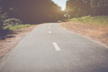 Ormandaki bulanık yol