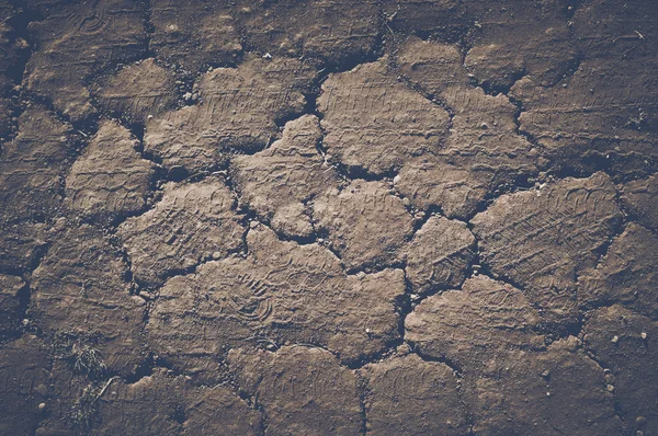 Сухий бруд фону — стокове фото