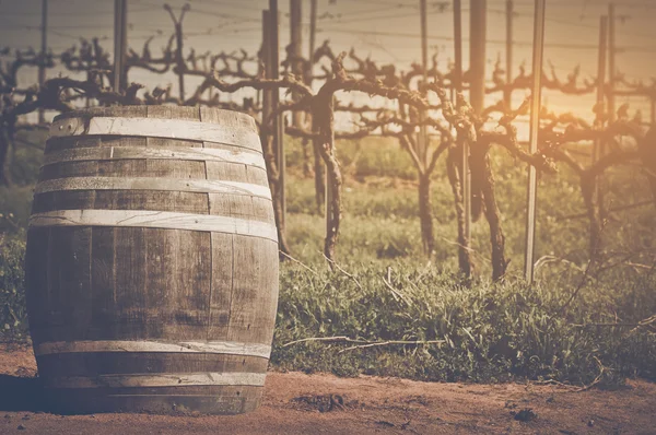 Wine Barrel outside — Stock Photo, Image