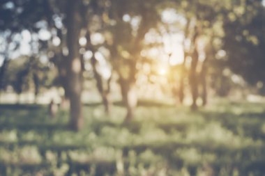 bulanık doğa arka plan